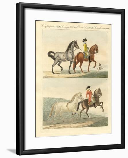 The Horse with its Different Kinds-null-Framed Giclee Print