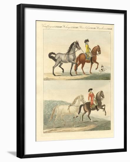 The Horse with its Different Kinds-null-Framed Giclee Print