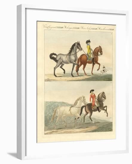 The Horse with its Different Kinds-null-Framed Giclee Print