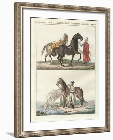 The Horse with its Different Kinds-null-Framed Giclee Print