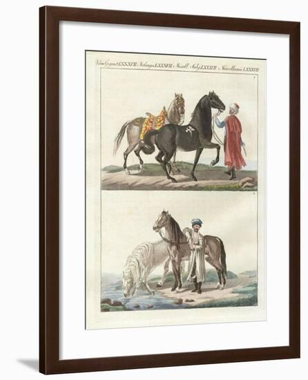 The Horse with its Different Kinds-null-Framed Giclee Print