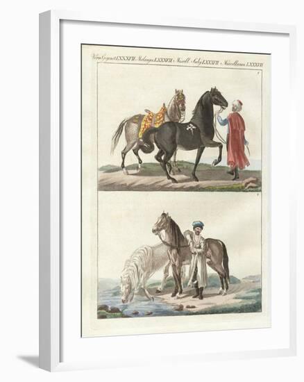 The Horse with its Different Kinds-null-Framed Giclee Print