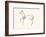 The Horse-Pablo Picasso-Framed Serigraph