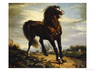 millets equestrian