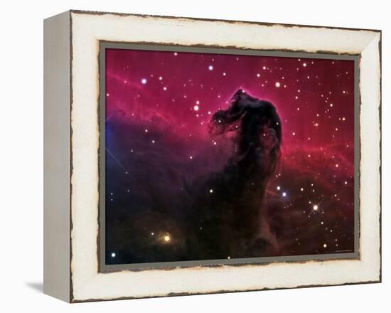 The Horsehead Nebula-Stocktrek Images-Framed Premier Image Canvas