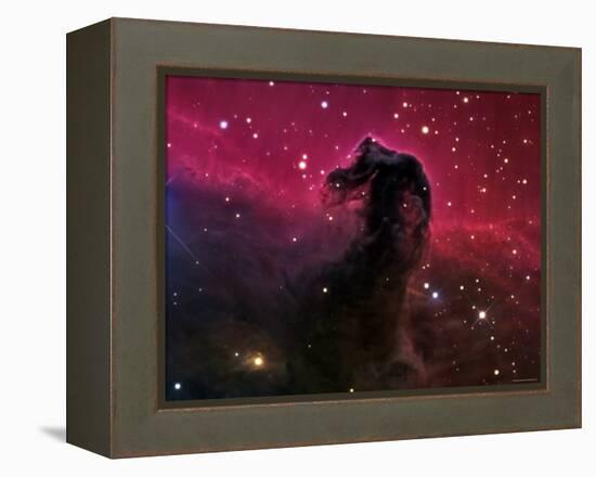 The Horsehead Nebula-Stocktrek Images-Framed Premier Image Canvas