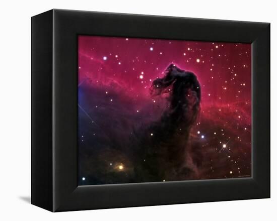 The Horsehead Nebula-Stocktrek Images-Framed Premier Image Canvas