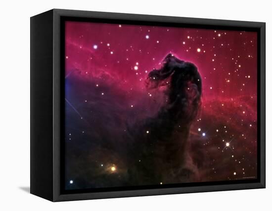 The Horsehead Nebula-Stocktrek Images-Framed Premier Image Canvas