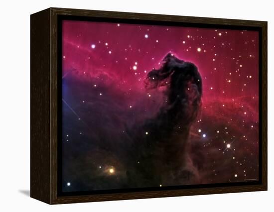 The Horsehead Nebula-Stocktrek Images-Framed Premier Image Canvas