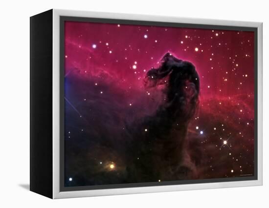 The Horsehead Nebula-Stocktrek Images-Framed Premier Image Canvas