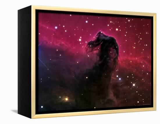 The Horsehead Nebula-Stocktrek Images-Framed Premier Image Canvas