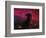 The Horsehead Nebula-Stocktrek Images-Framed Photographic Print