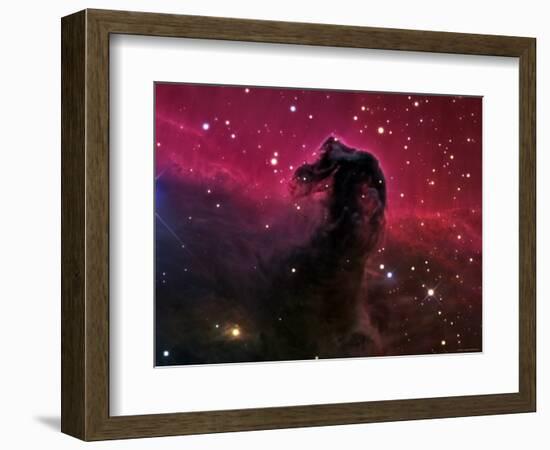 The Horsehead Nebula-Stocktrek Images-Framed Photographic Print