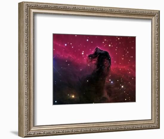 The Horsehead Nebula-Stocktrek Images-Framed Photographic Print