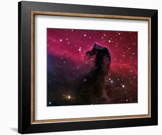 The Horsehead Nebula-Stocktrek Images-Framed Photographic Print