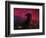 The Horsehead Nebula-Stocktrek Images-Framed Photographic Print