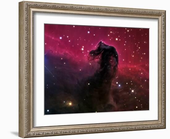 The Horsehead Nebula-Stocktrek Images-Framed Photographic Print