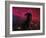 The Horsehead Nebula-Stocktrek Images-Framed Photographic Print