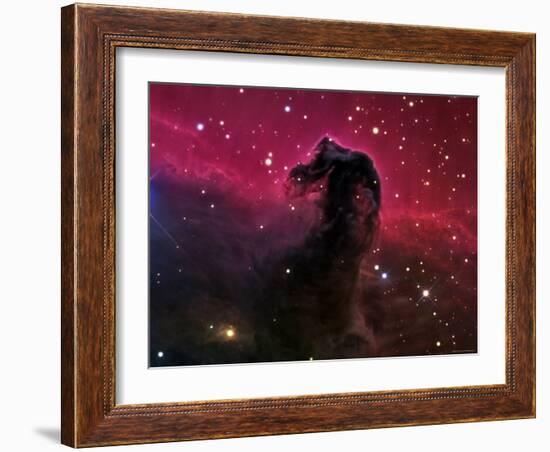 The Horsehead Nebula-Stocktrek Images-Framed Photographic Print