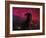 The Horsehead Nebula-Stocktrek Images-Framed Photographic Print