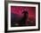 The Horsehead Nebula-Stocktrek Images-Framed Photographic Print