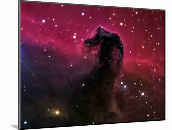 The Horsehead Nebula-Stocktrek Images-Mounted Photographic Print