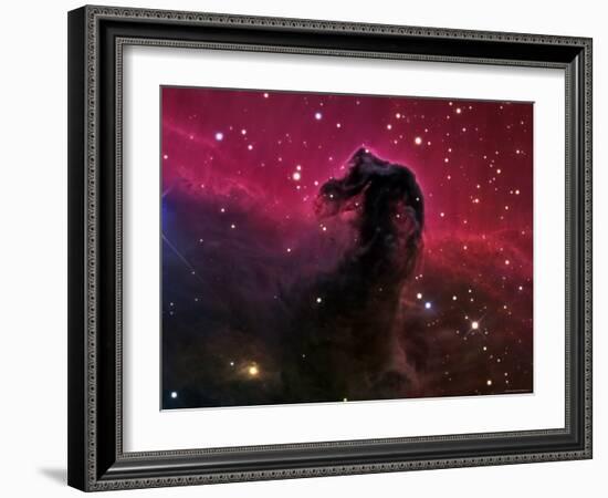 The Horsehead Nebula-Stocktrek Images-Framed Photographic Print