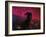 The Horsehead Nebula-Stocktrek Images-Framed Photographic Print