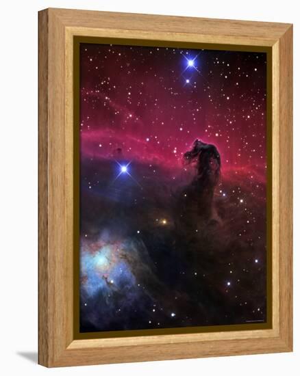 The Horsehead Nebula-Stocktrek Images-Framed Premier Image Canvas