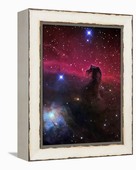 The Horsehead Nebula-Stocktrek Images-Framed Premier Image Canvas