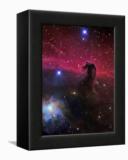 The Horsehead Nebula-Stocktrek Images-Framed Premier Image Canvas