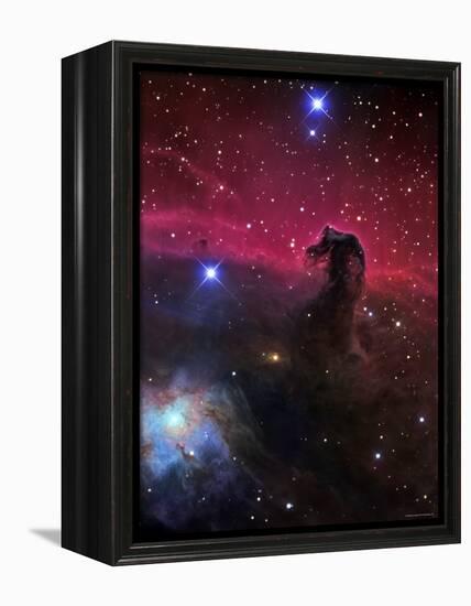 The Horsehead Nebula-Stocktrek Images-Framed Premier Image Canvas