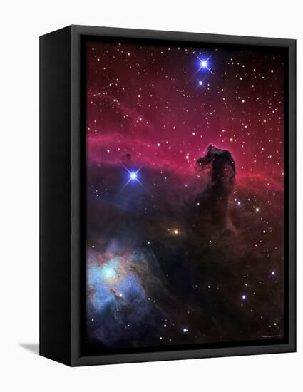 The Horsehead Nebula-Stocktrek Images-Framed Premier Image Canvas