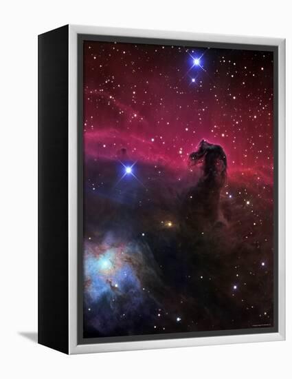 The Horsehead Nebula-Stocktrek Images-Framed Premier Image Canvas