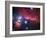 The Horsehead Nebula-Stocktrek Images-Framed Photographic Print