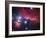 The Horsehead Nebula-Stocktrek Images-Framed Photographic Print