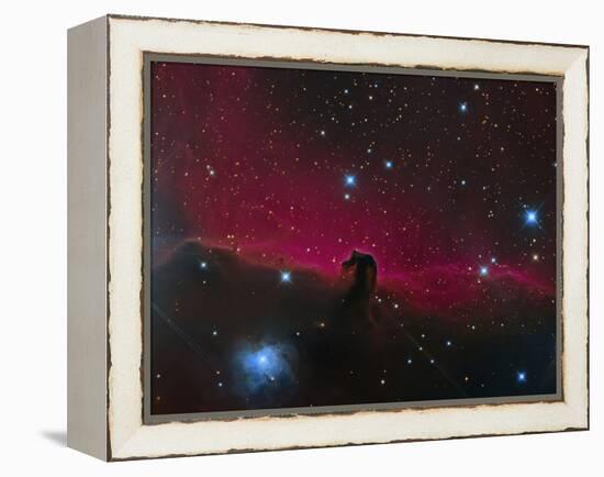 The Horsehead Nebula-null-Framed Premier Image Canvas