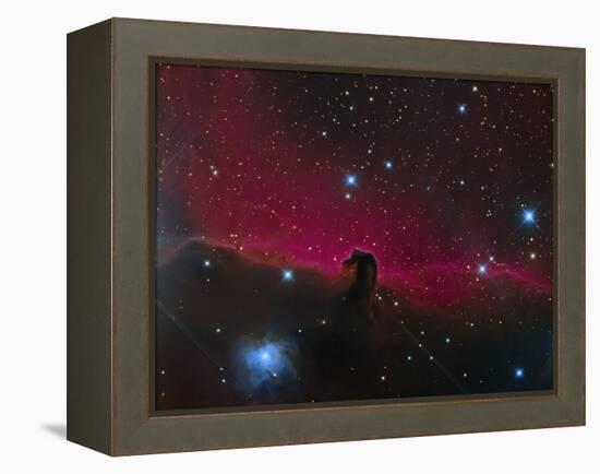 The Horsehead Nebula-null-Framed Premier Image Canvas