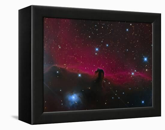 The Horsehead Nebula-null-Framed Premier Image Canvas