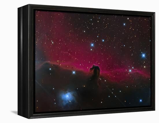 The Horsehead Nebula-null-Framed Premier Image Canvas