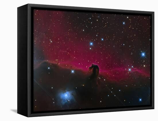 The Horsehead Nebula-null-Framed Premier Image Canvas