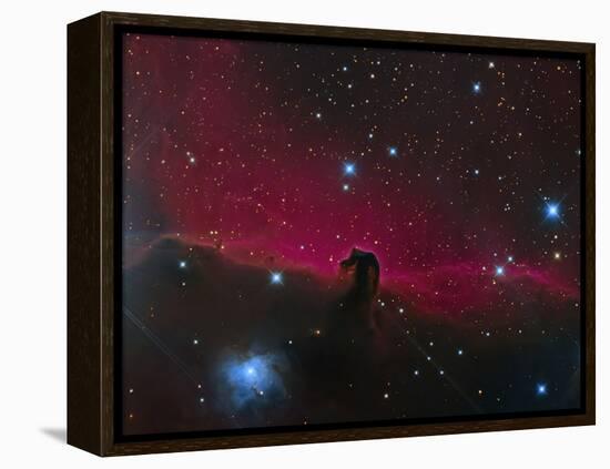 The Horsehead Nebula-null-Framed Premier Image Canvas