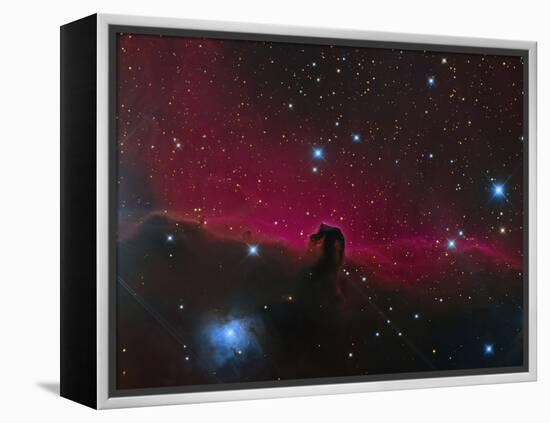 The Horsehead Nebula-null-Framed Premier Image Canvas