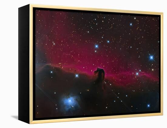 The Horsehead Nebula-null-Framed Premier Image Canvas