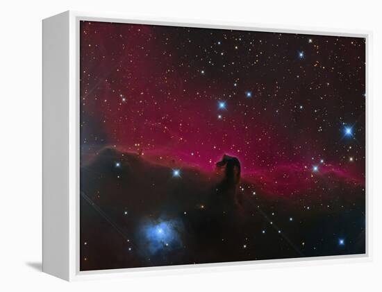 The Horsehead Nebula-null-Framed Premier Image Canvas