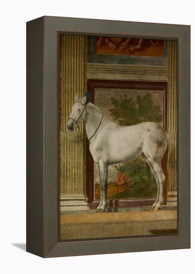 The Horses Hall, 1525-1535.-Giulio Romano-Framed Premier Image Canvas