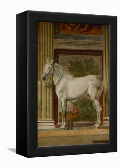 The Horses Hall, 1525-1535.-Giulio Romano-Framed Premier Image Canvas
