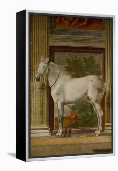 The Horses Hall, 1525-1535.-Giulio Romano-Framed Premier Image Canvas