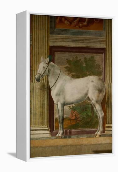 The Horses Hall, 1525-1535.-Giulio Romano-Framed Premier Image Canvas