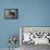 The Horses of San Marco-Boris Kustodiyev-Framed Premier Image Canvas displayed on a wall